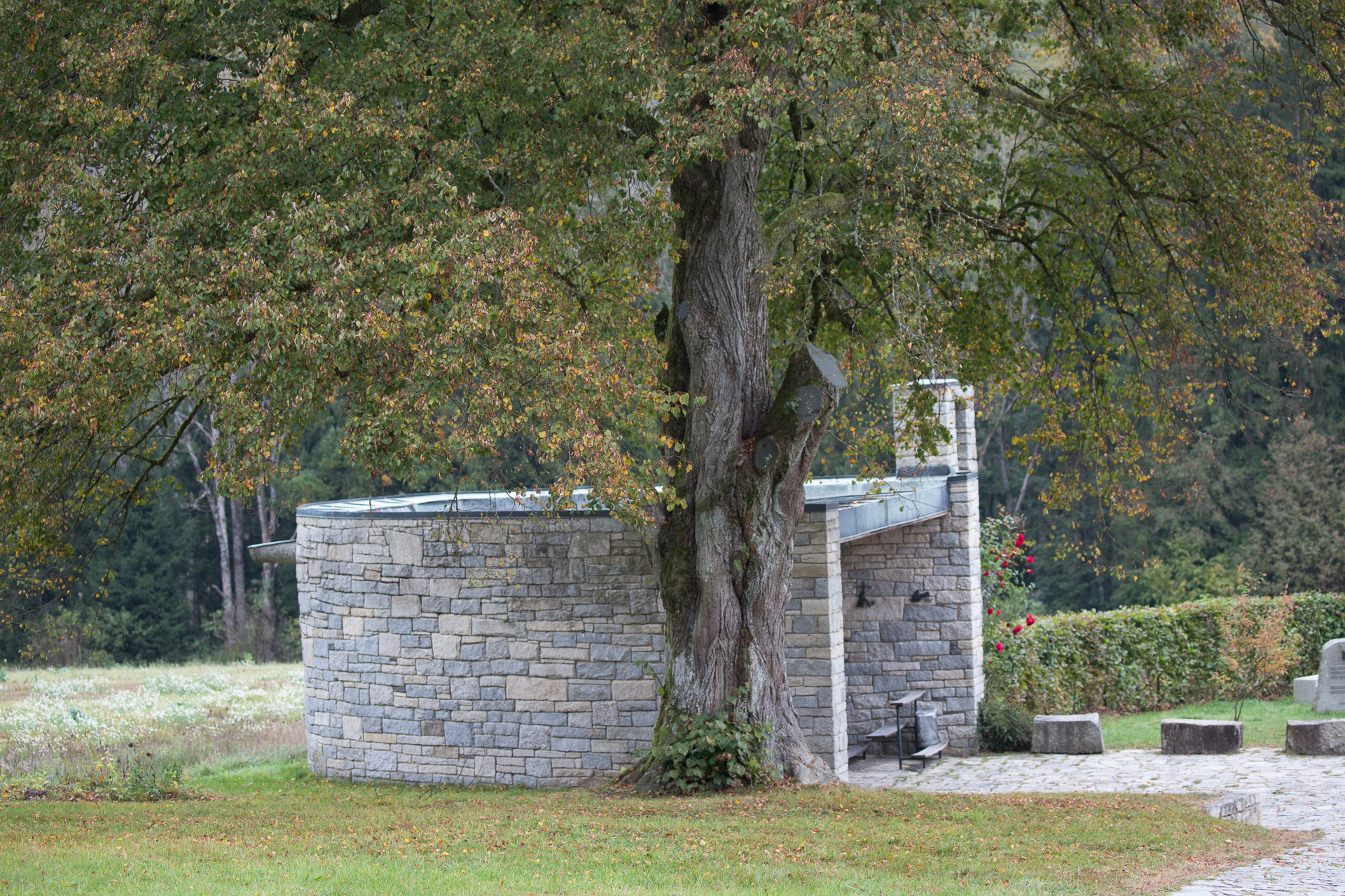 20231014100726 3K6A2165